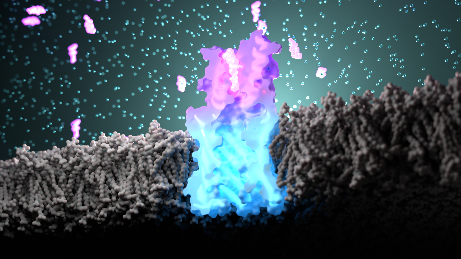 Research Banner