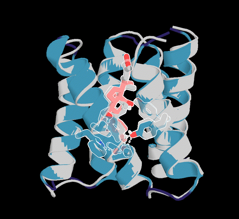 Small Molecule Binder and Sensor Design