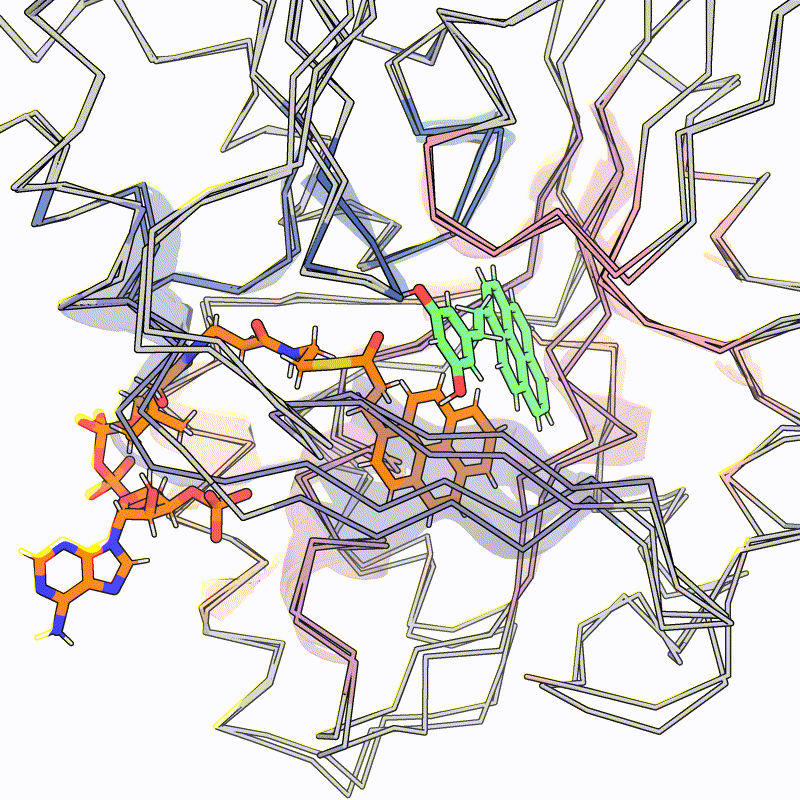 Enzyme Redesign